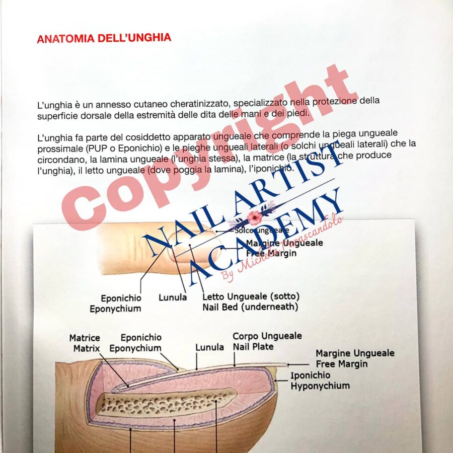 manuale corso base pagina