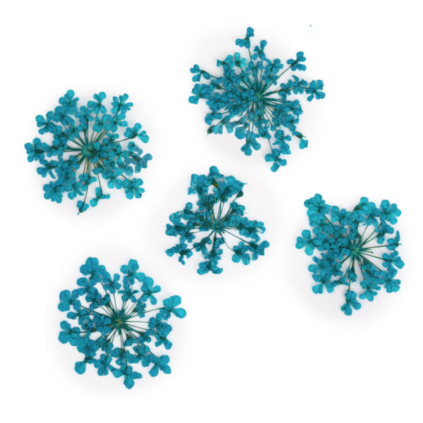 Fiori secchi blu decorazione unghie