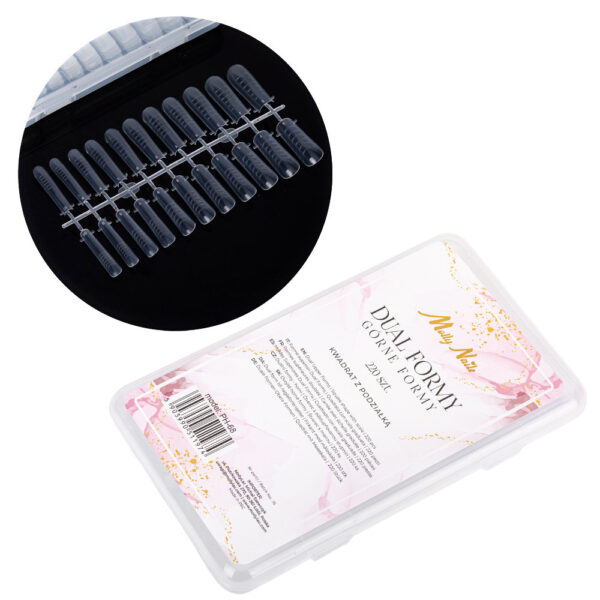 dual forms square quadrate dimensione media