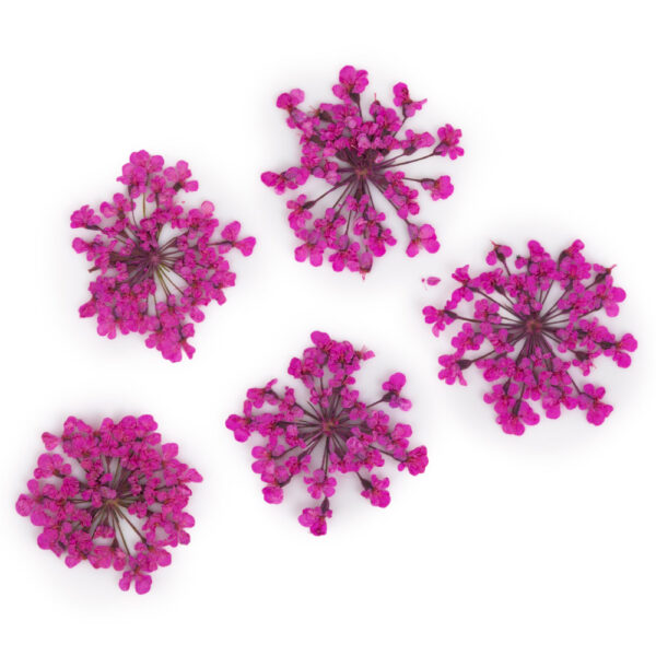 fiori secchi nail art decorazione unghie rosa