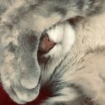 Profile photo of ely