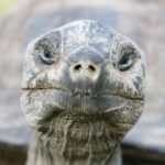 Profile photo of Ertic87